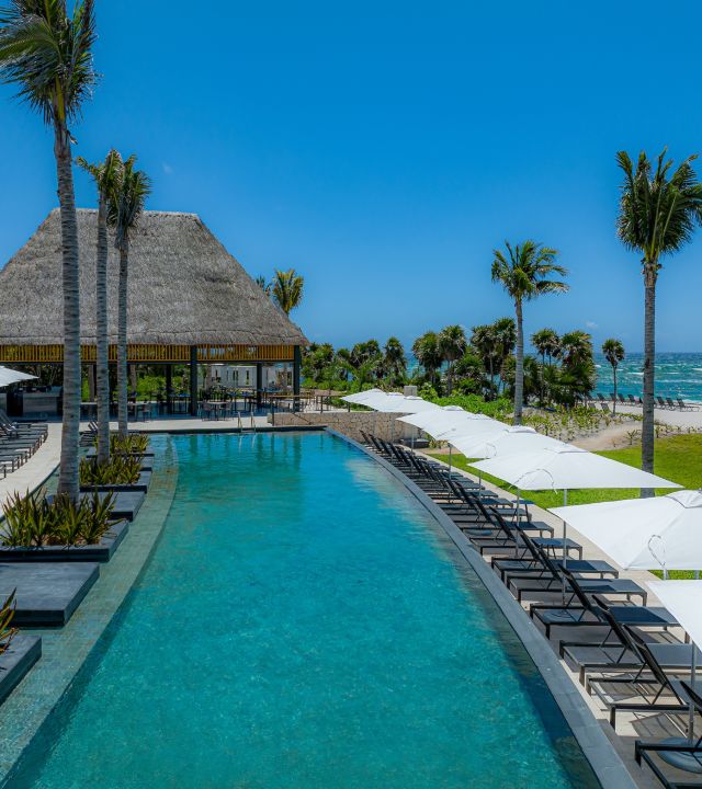 dos ceibas beach club tulum